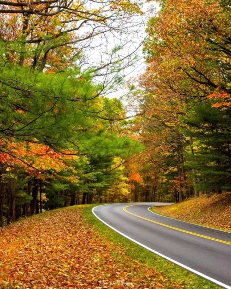 Shenandoah National Park (Virginia)