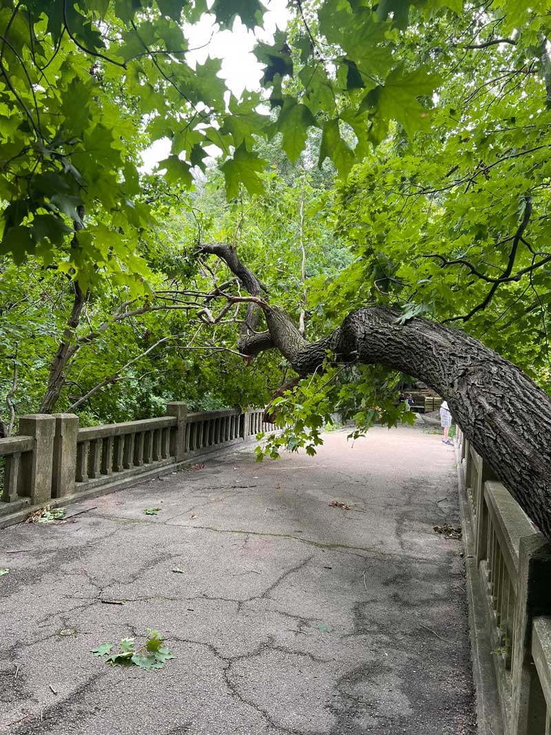 Starved Rock State Park