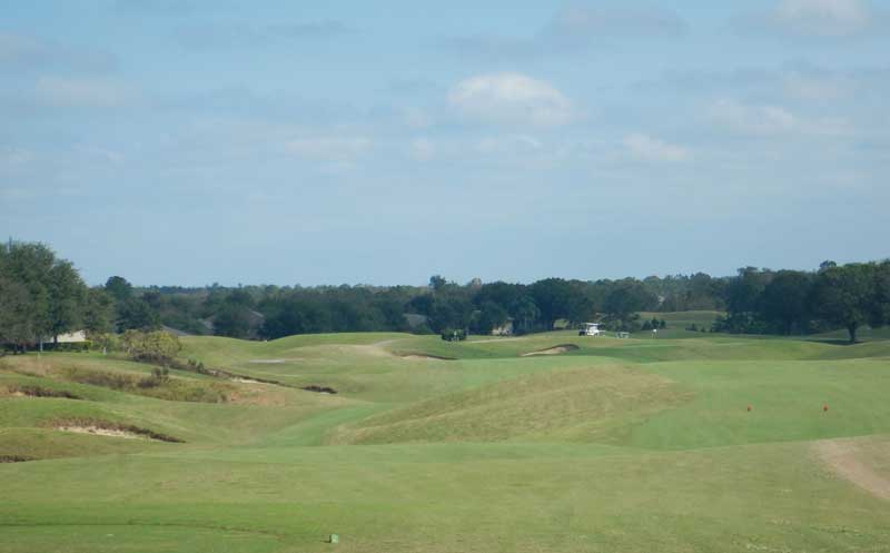 The Black Bear Golf Club