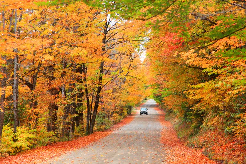 White Mountain National Forest