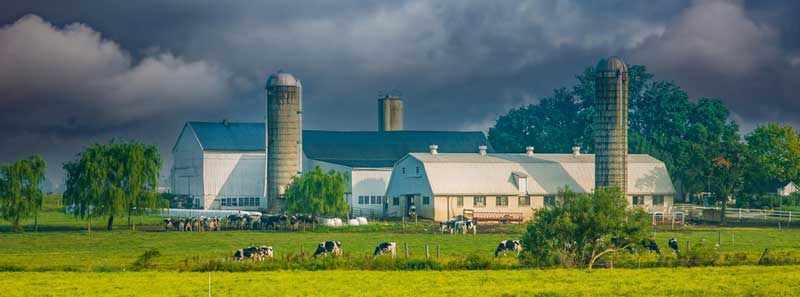 Amish Country in Lancaster