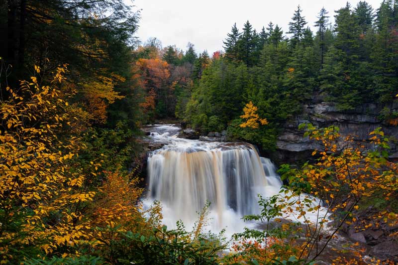 Blackwater Falls State Park