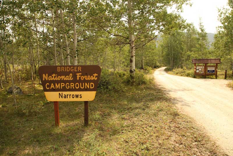 Bridger-Teton National Forest