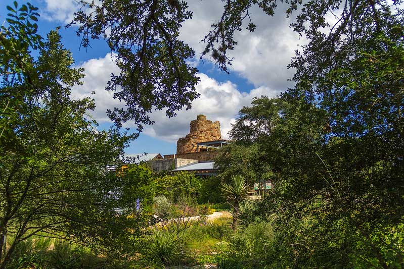 Lady Bird Johnson Wildflower Center