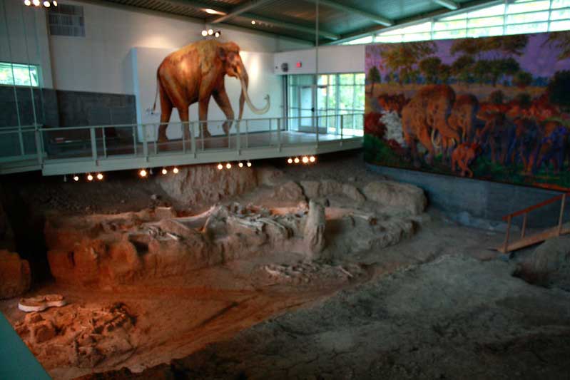 Mammoth Site