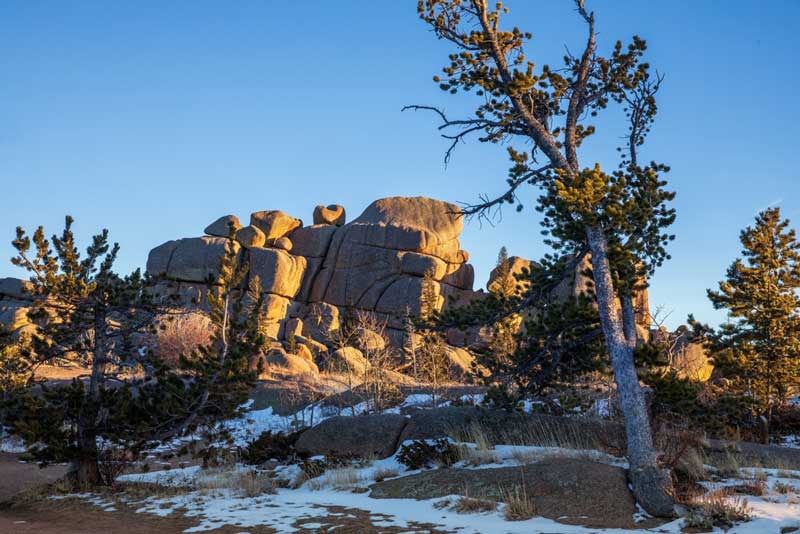 Medicine Bow-Routt National Forest