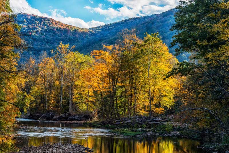 Monongahela National Forest