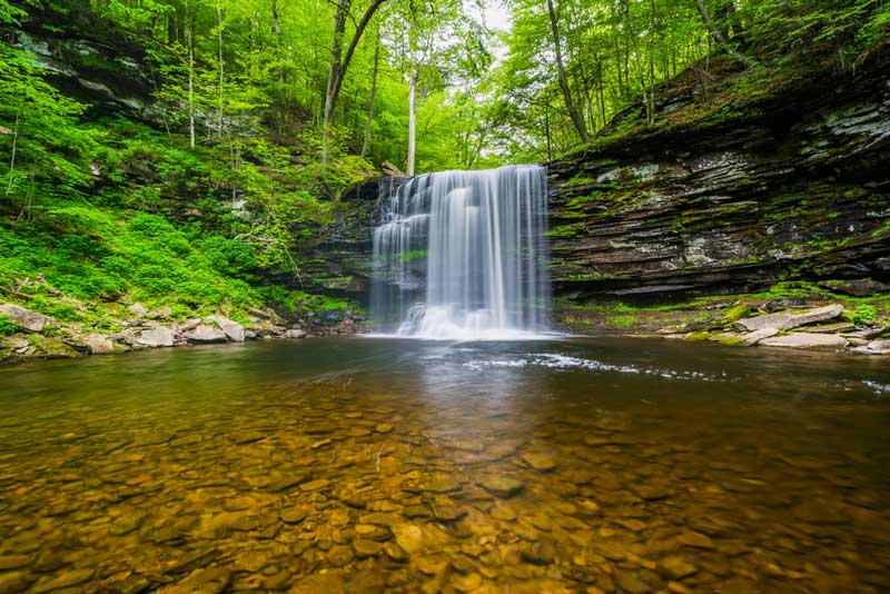 Ricketts Glen State Park