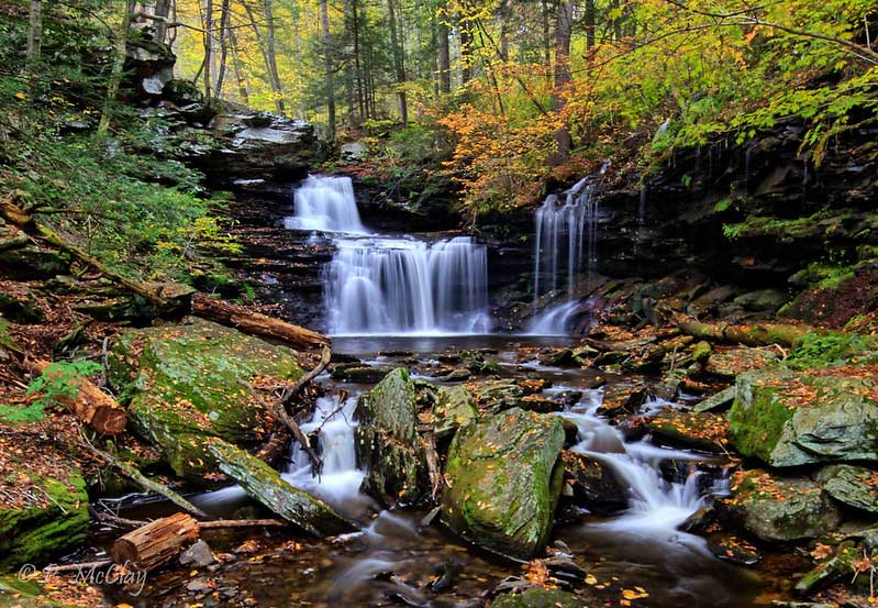 Ricketts Glen State Park