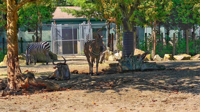 Roger Williams Park Zoo