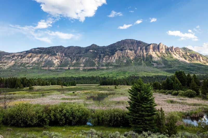 Shoshone National Forest