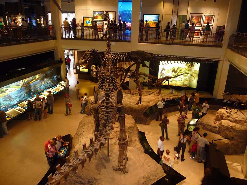 The Houston Museum of Natural Science