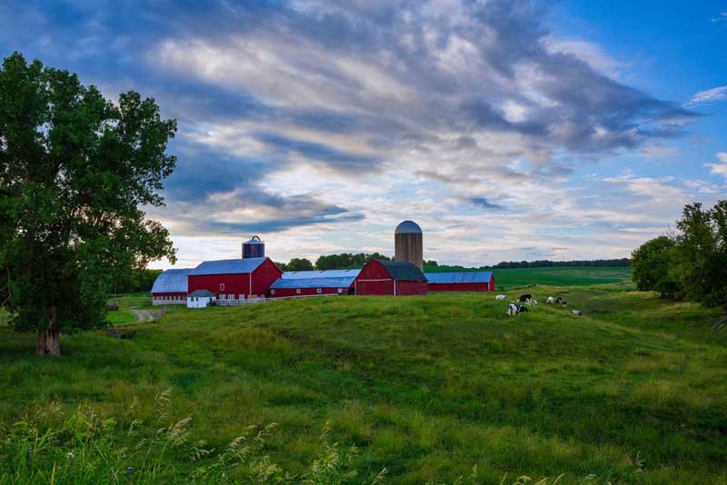 Wisconsin Cheese Farm