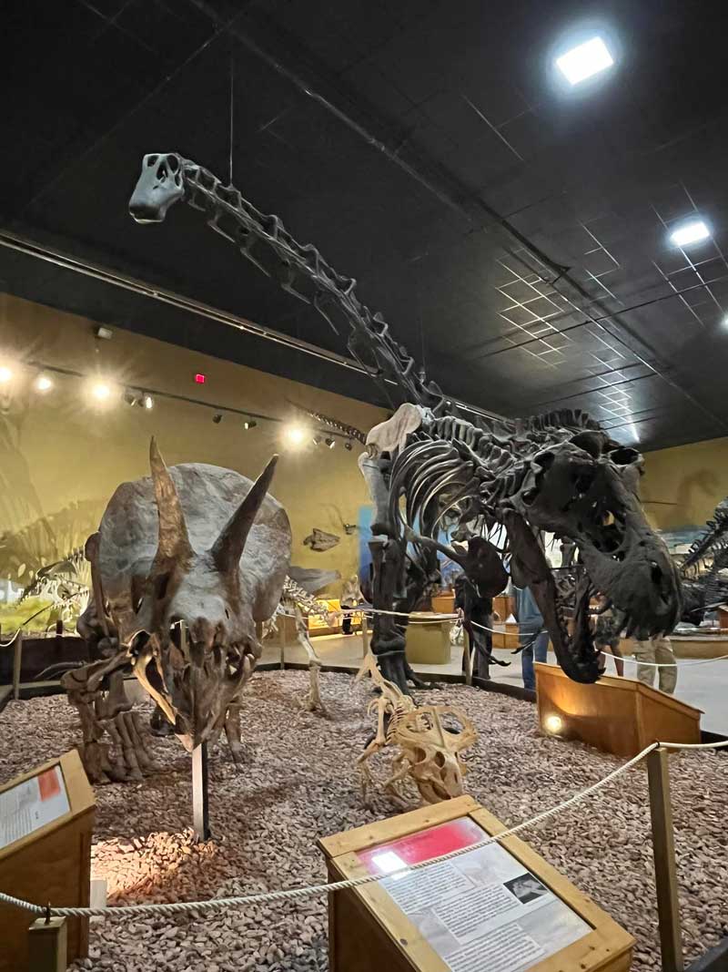 Wyoming Dinosaur Center