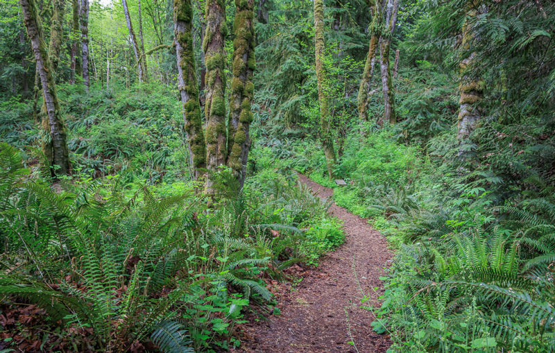 Anderson Landing Preserve