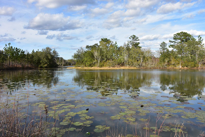 Apalache Lake