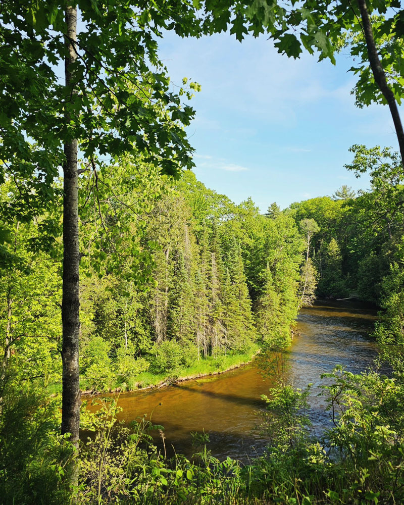 Au Sable and Manistee Rivers