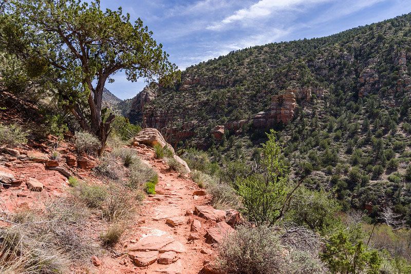 Bell Canyon Trail