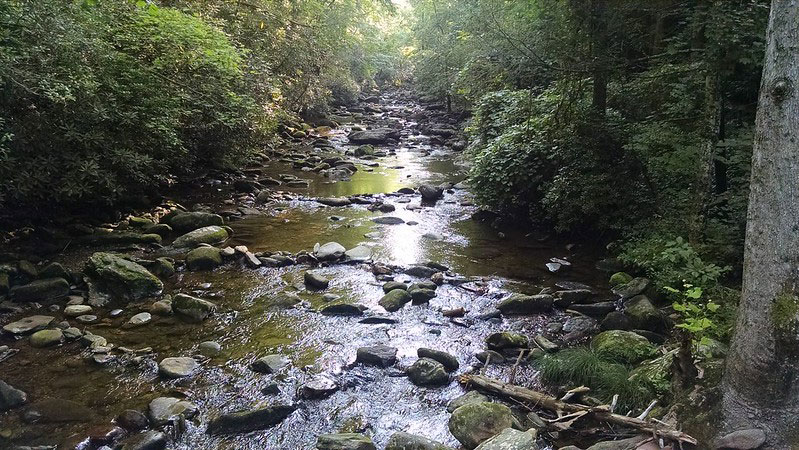 Camp Creek State Park