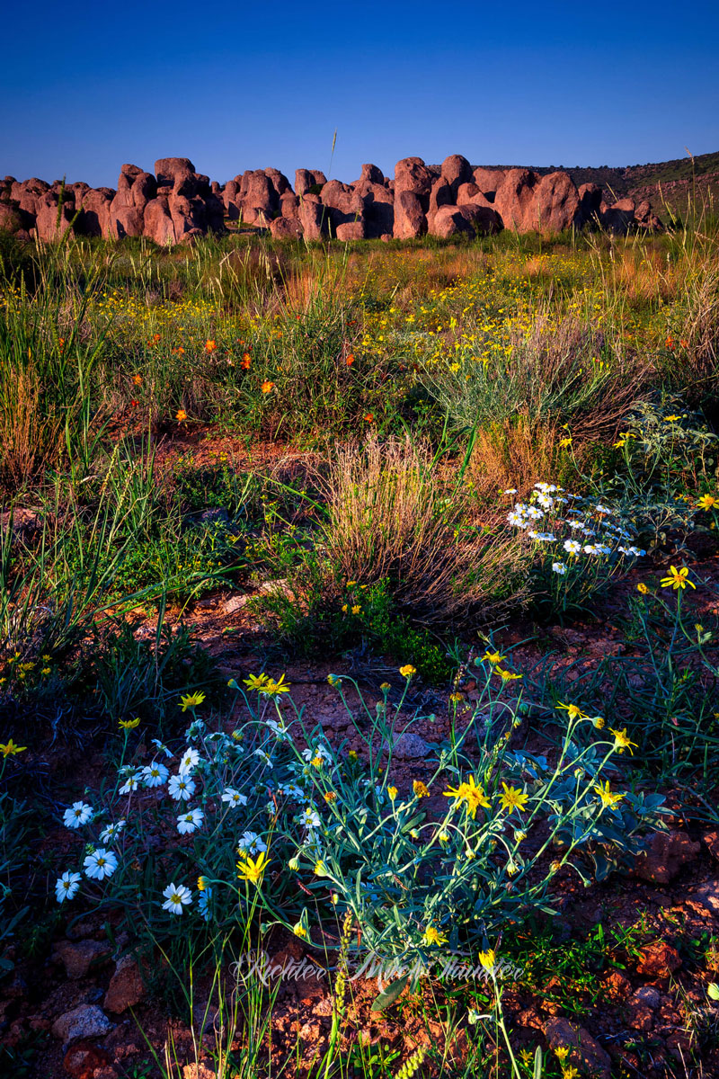 City of Rocks State Park