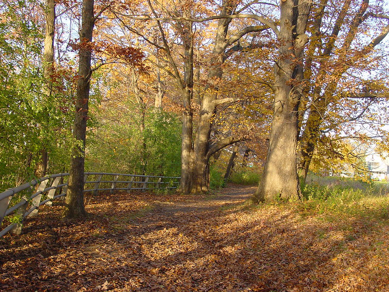 Devil’s Hole State Park