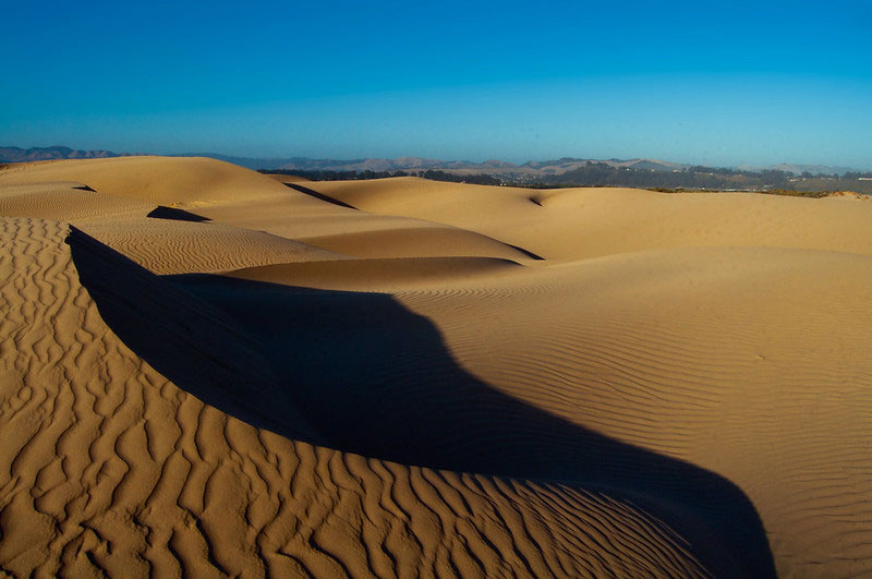 Dunes Center, Guadalupe