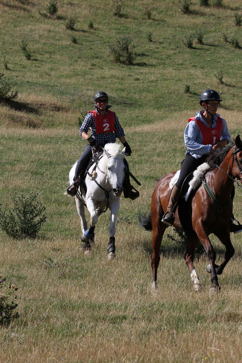 Equestrian Trails