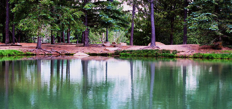 Fox Run Regional Park