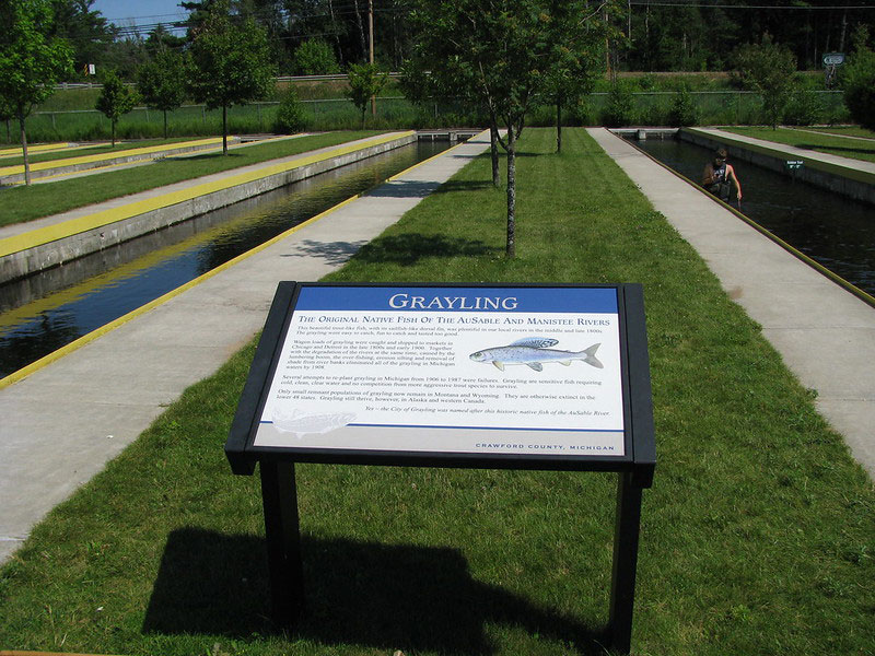 Grayling Fish Hatchery