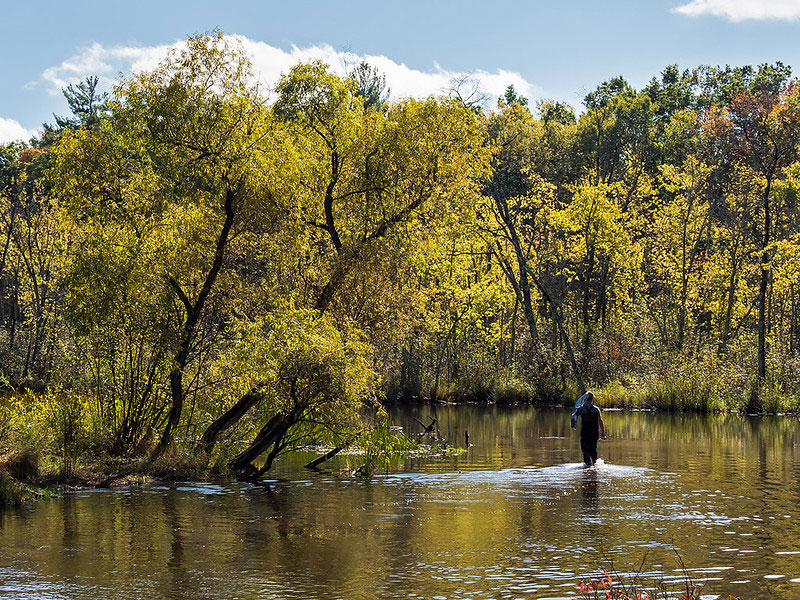 Huron-Manistee National Forest