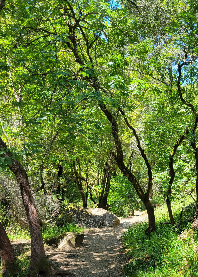 Ignacio Valley Preserve