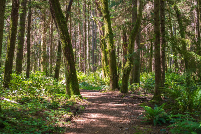 Illahee State Park