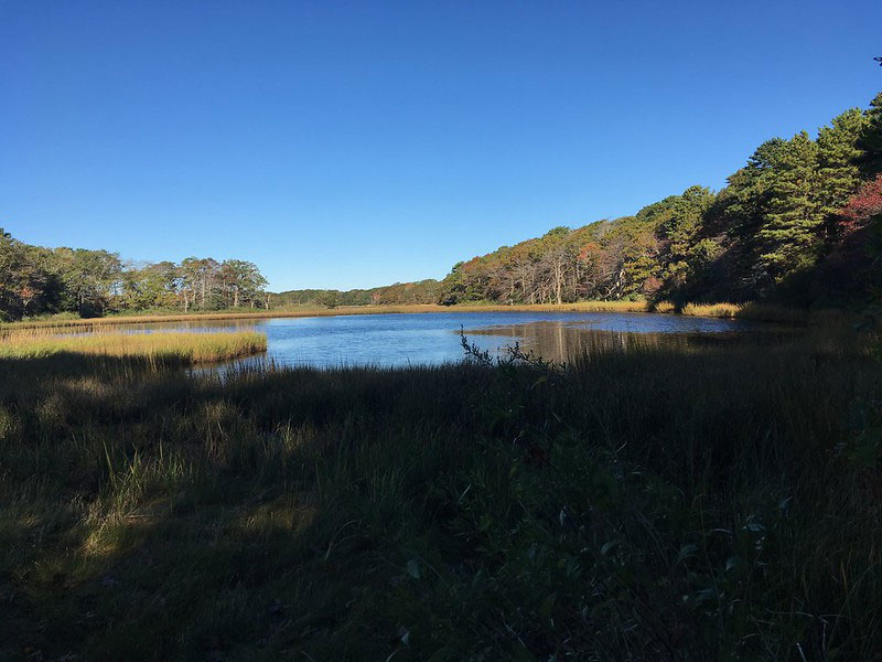 Jehu Pond Conservation Area