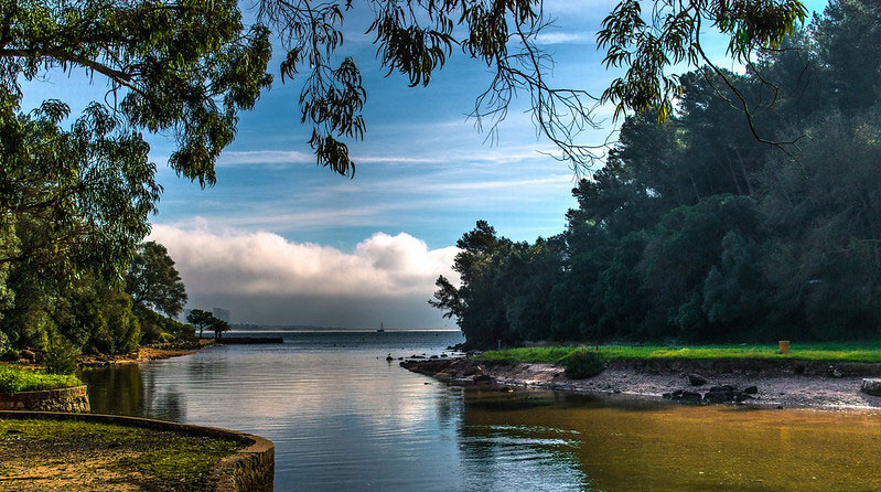 Lake Front Park