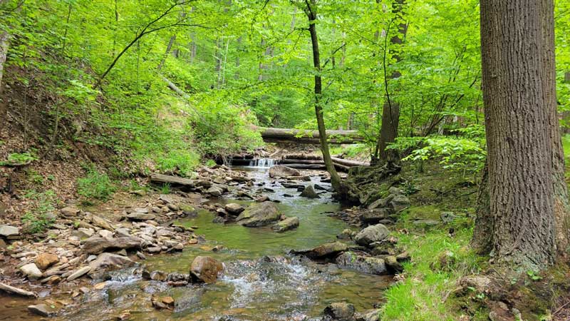 Laurel Highlands