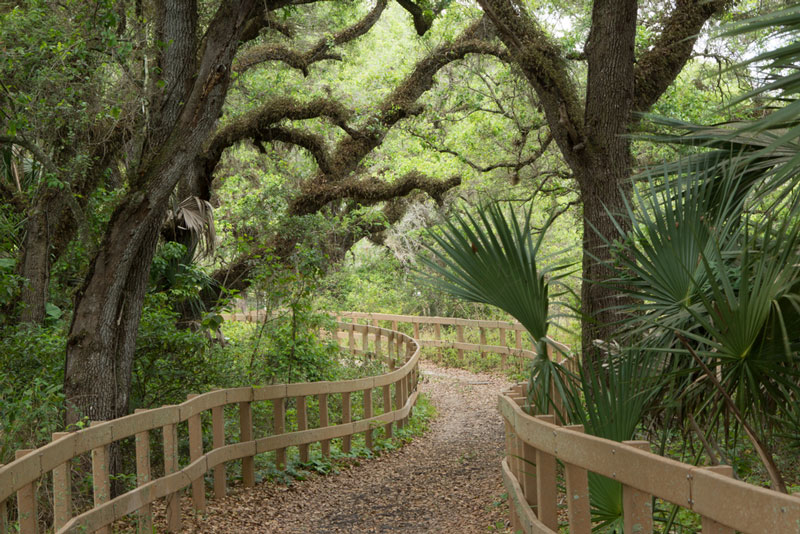 Long Key Natural Area & Nature Center