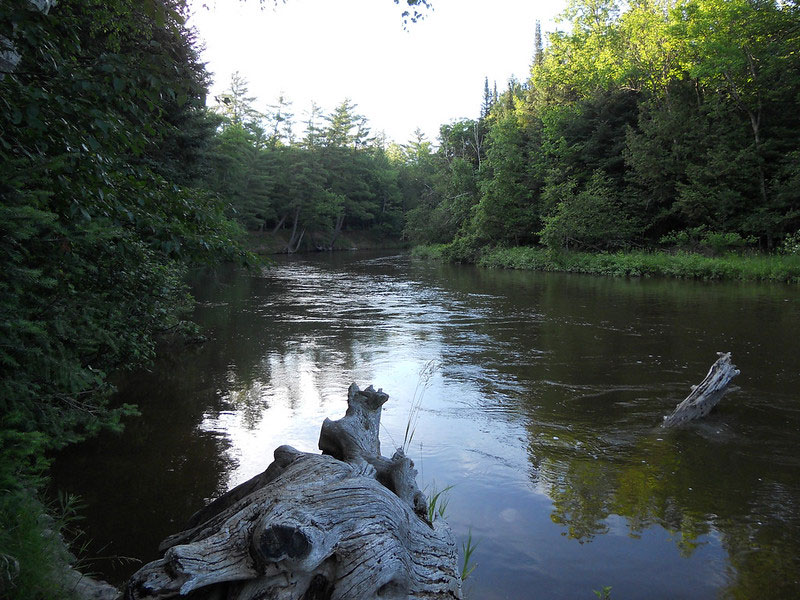 Manistee River