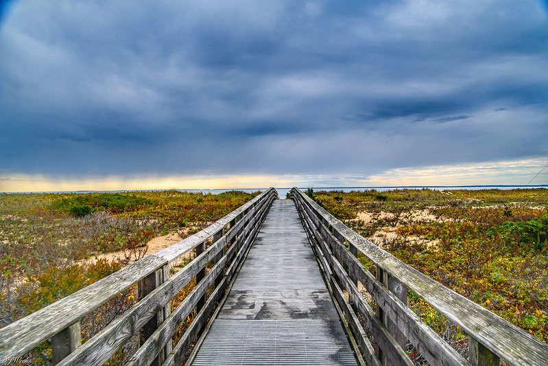 Mashpee National Wildlife Refuge