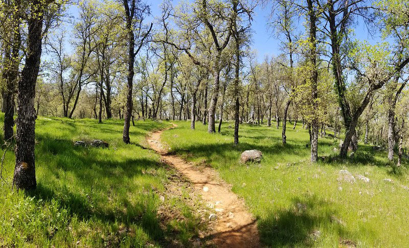 Mokelumne Coast to Crest Trail