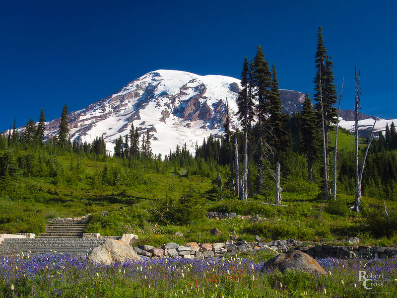 Mount Olympus Trail