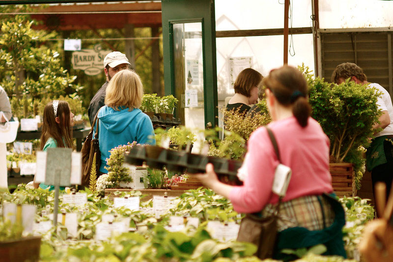 Mulberry Creek Herb Farm