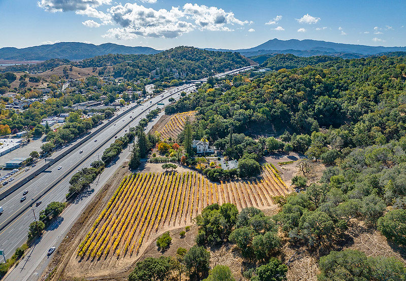 Pacheco Ranch Winery