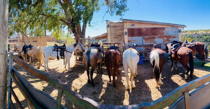 Palo Duro Riding Stables