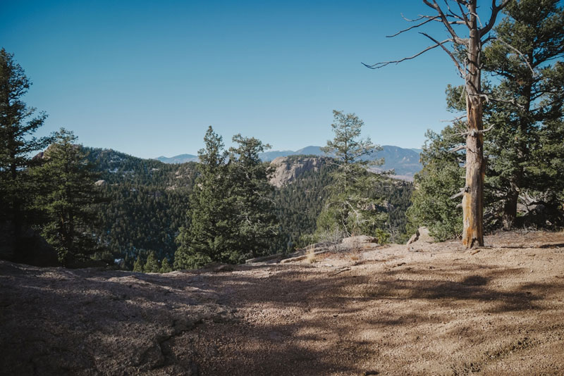 Pike National Forest