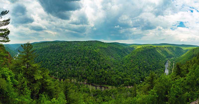 Pine Creek Gorge