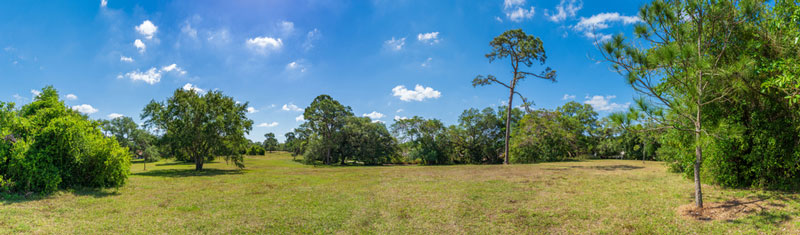 Pine Island Ridge Natural Area