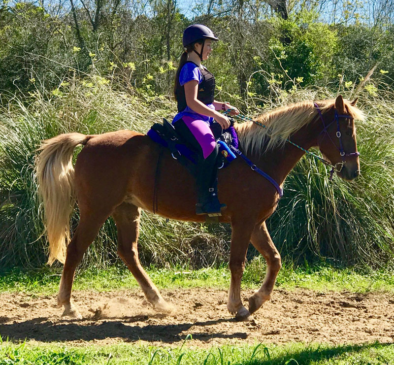 Pinebrook Farms Horseback Riding