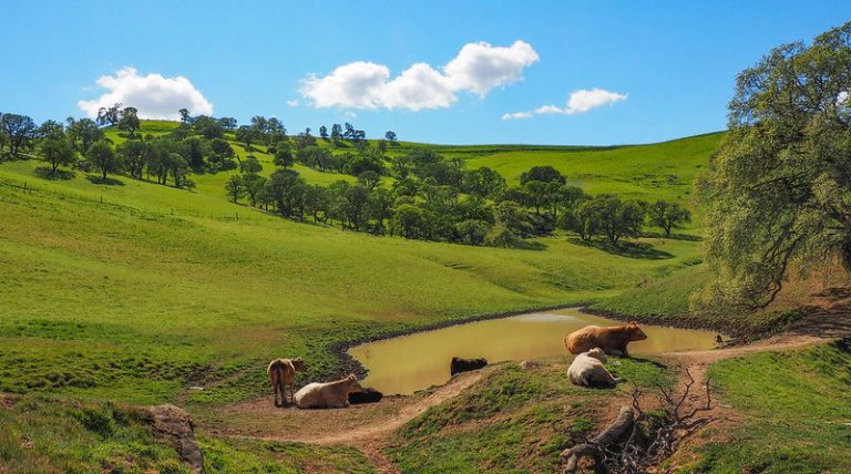 23 Best & Fun Things To Do in Brentwood (CA) - The Tourist Checklist
