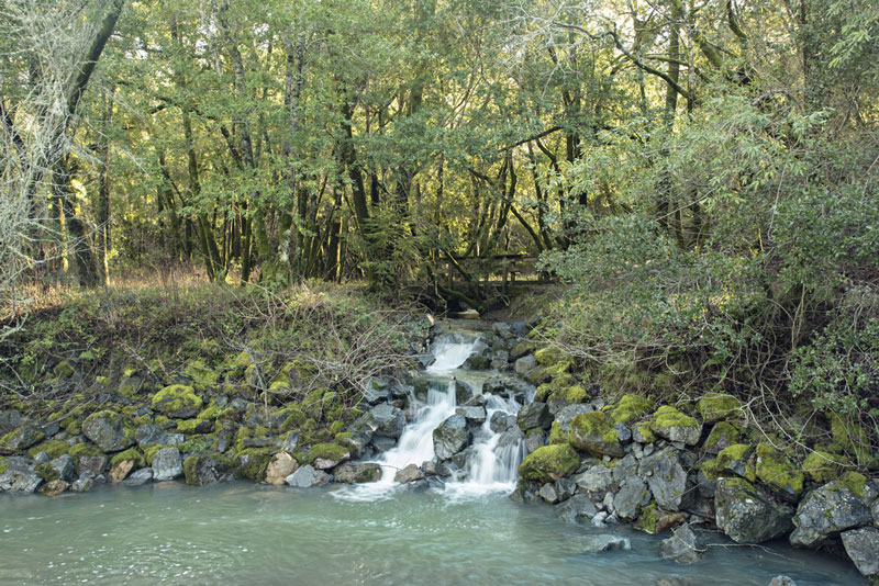 Rush Creek Open Space Preserve