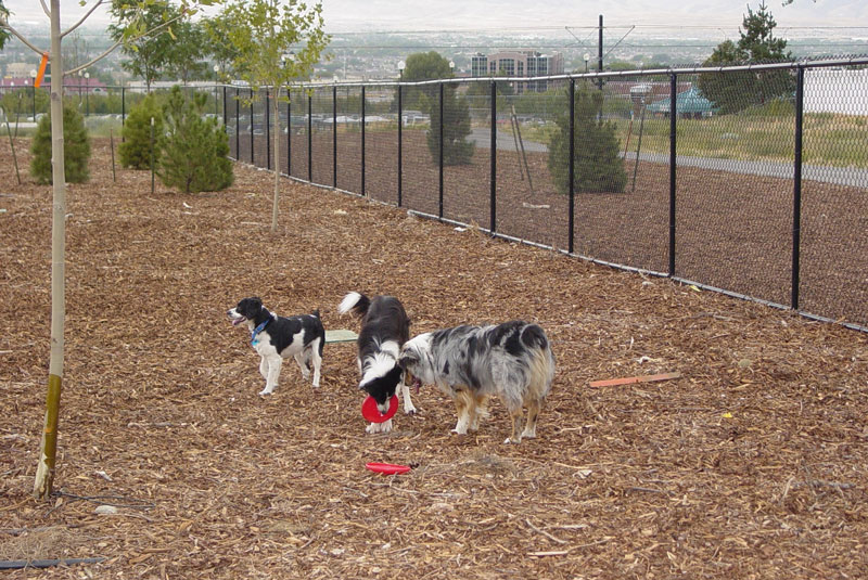 Sandy Dog Park